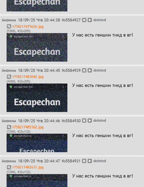 592x768
