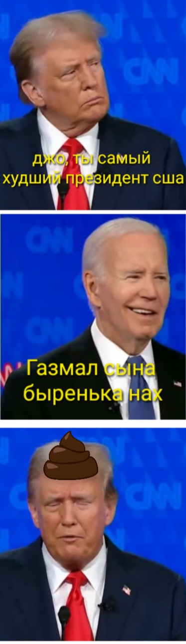 373x1291