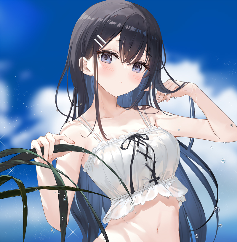 800x816