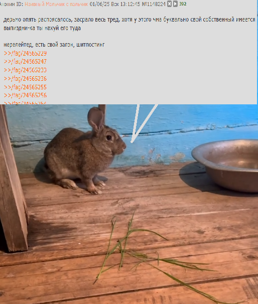 514x606