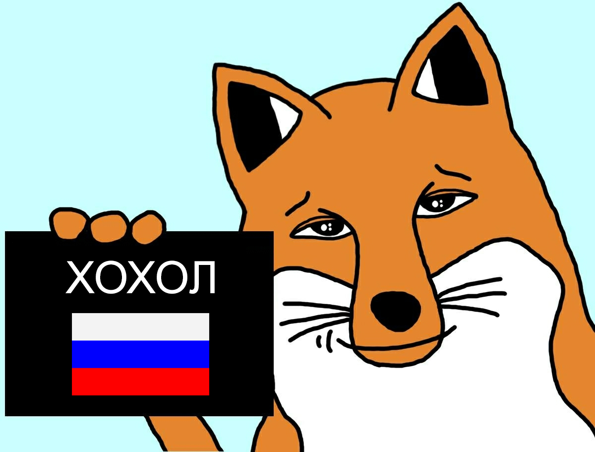 1200x911