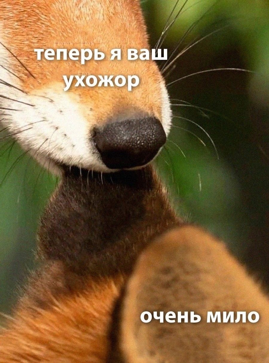 900x1213