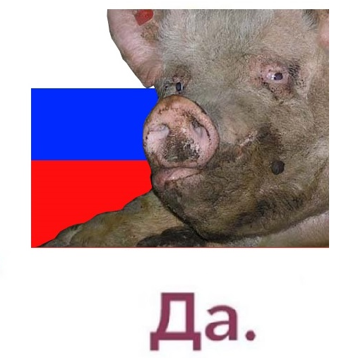 507x507