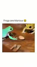 360x640