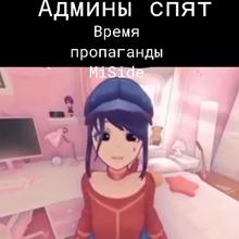 498x498