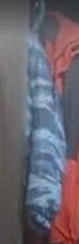 83x253