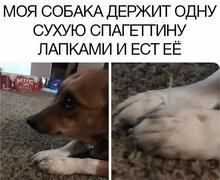 960x786