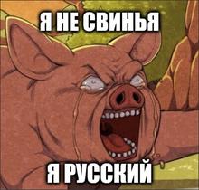 492x470